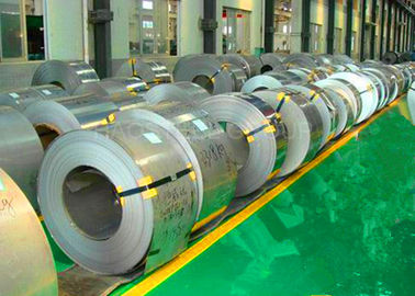 ISO9001 স্ট্যান্ডার্ড স্টেইনলেস স্টীল কুণ্ডলী নির্মাণের জন্য দৈর্ঘ্য কাস্টমাইজ